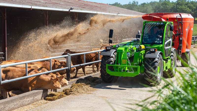 Merlo France